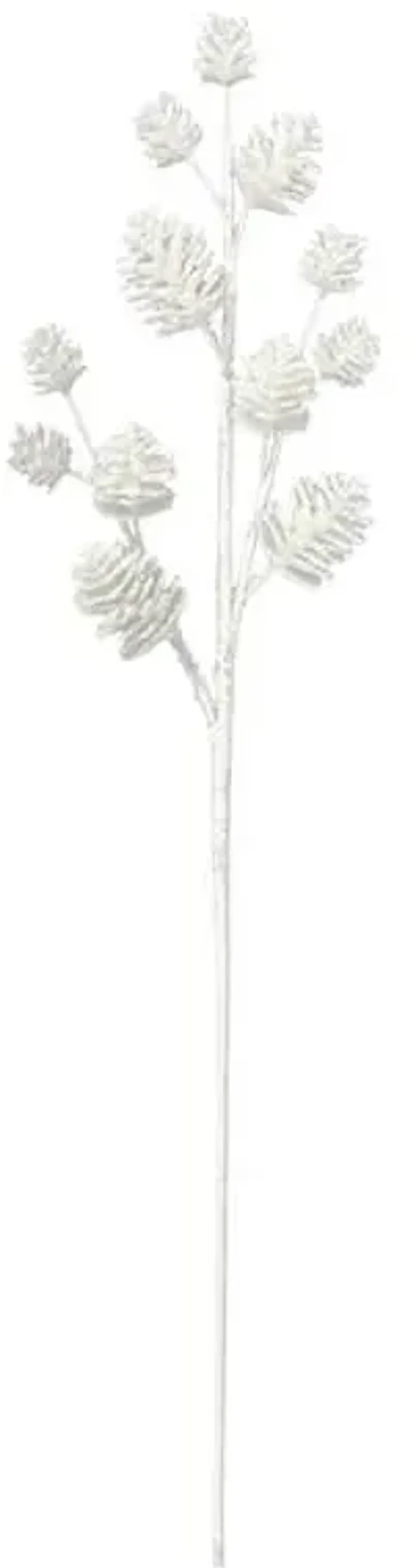 White Pinecone Stem, 31"