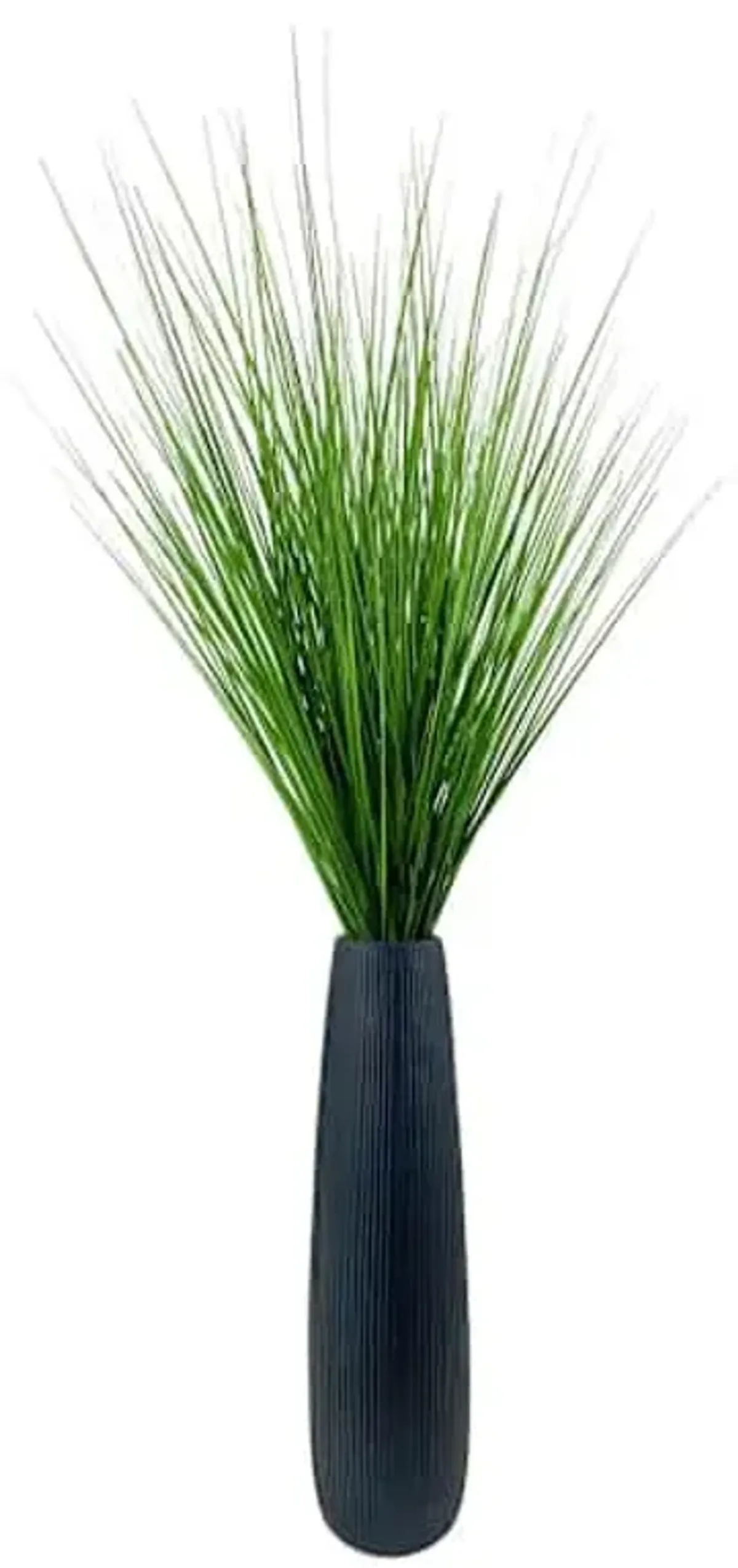 Onion Grass Bundle with Black Magnesia Planter, 44"