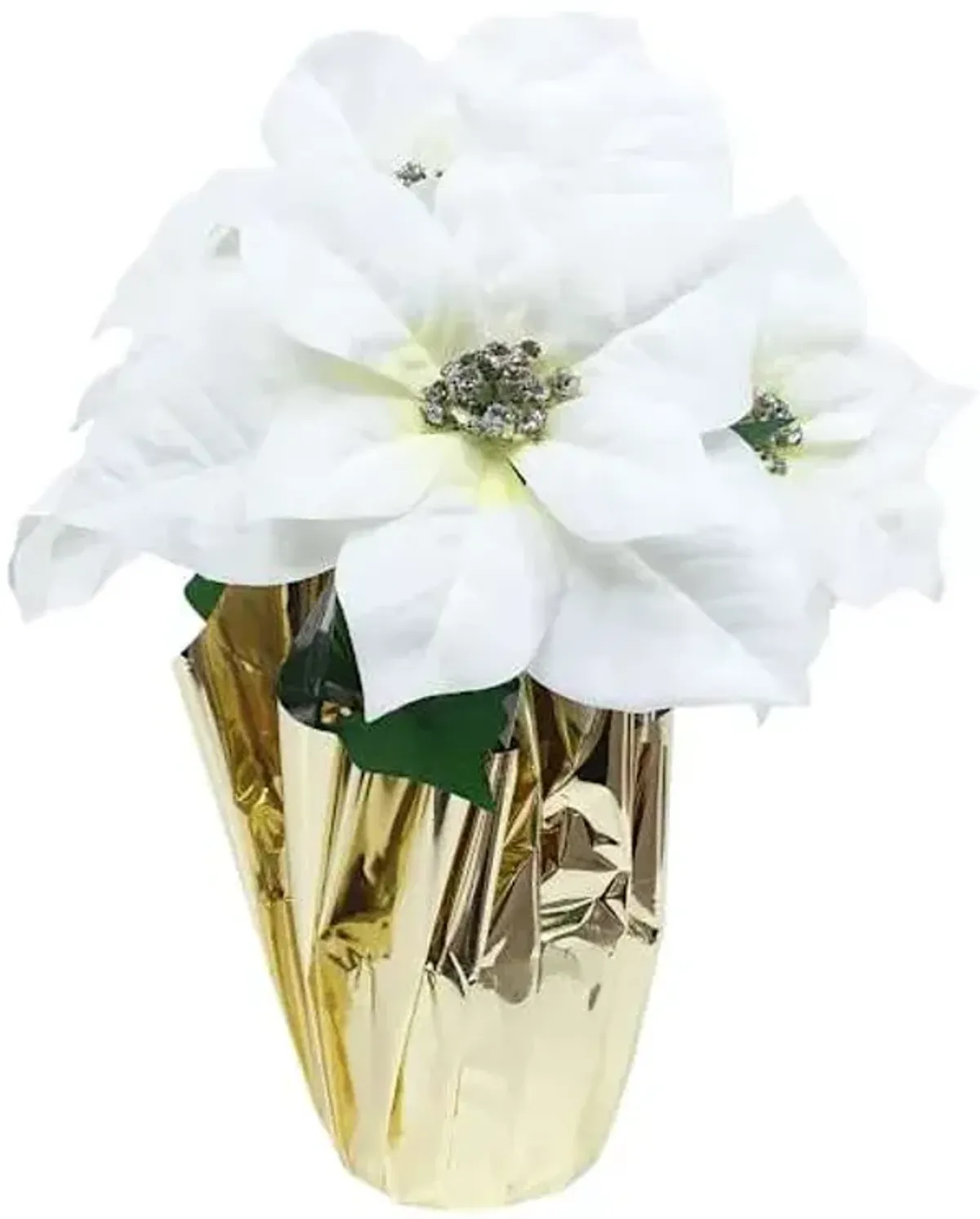 White Poinsettias in Gold Foil Pot, Small