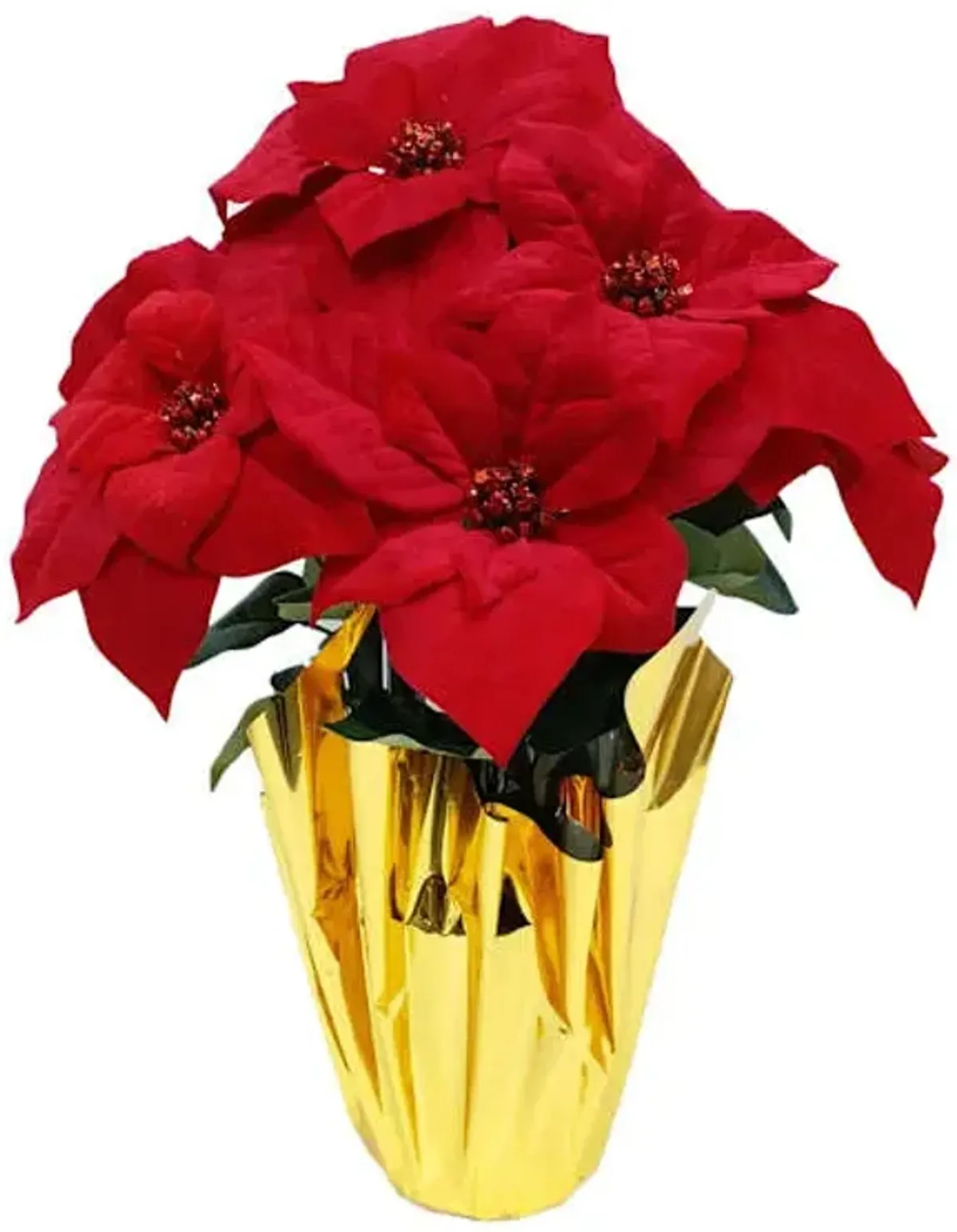 Red Poinsettia in Gold Foil Pot, Large