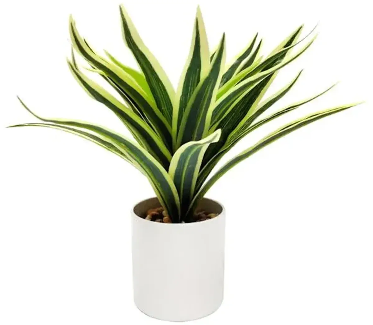 Grass Plant with White Planter, 9"