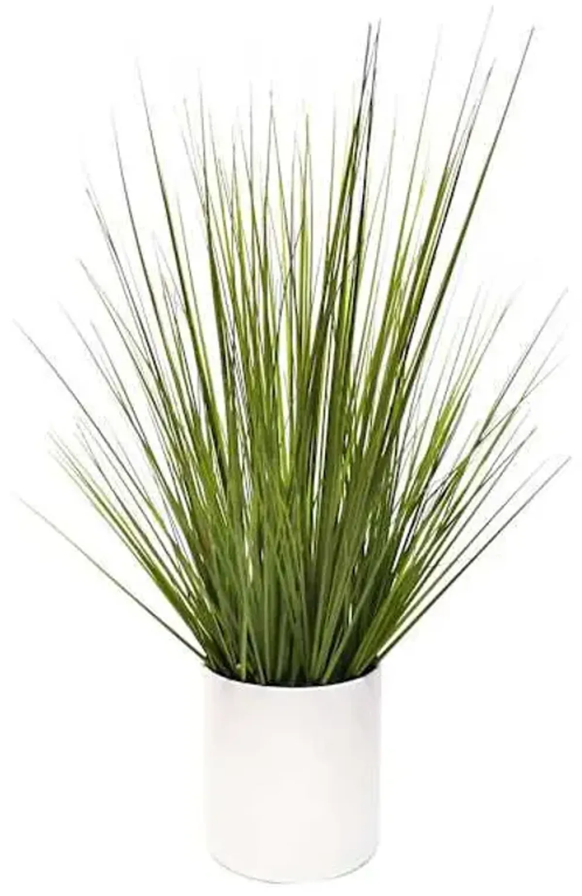 Grass Plant with White Planter, 20"