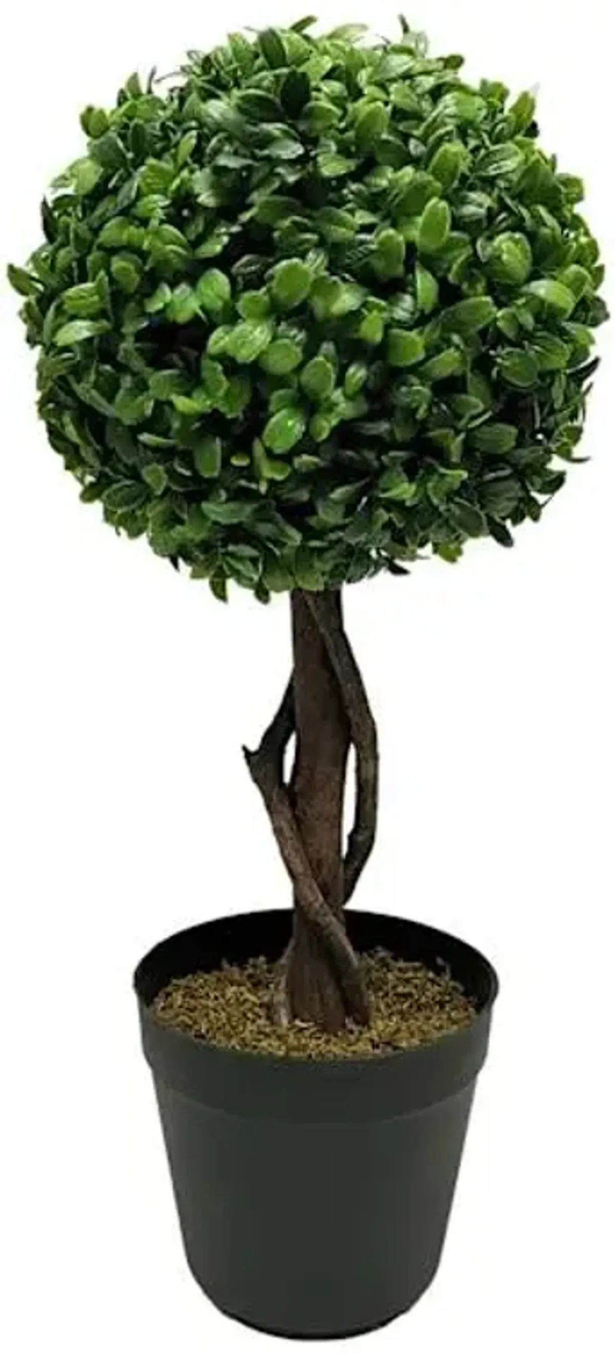 Boxwood Ball Topiary Plant in Black Planter, 17"