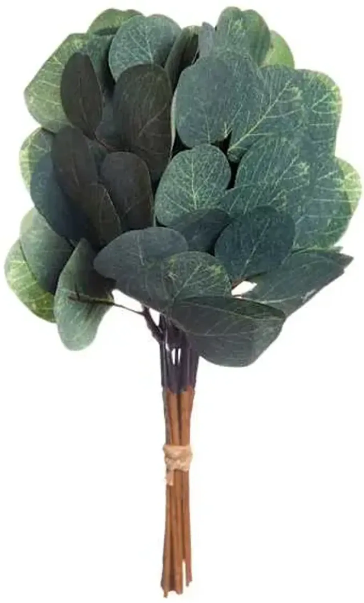 12-Piece Eucalyptus Spray, 12"