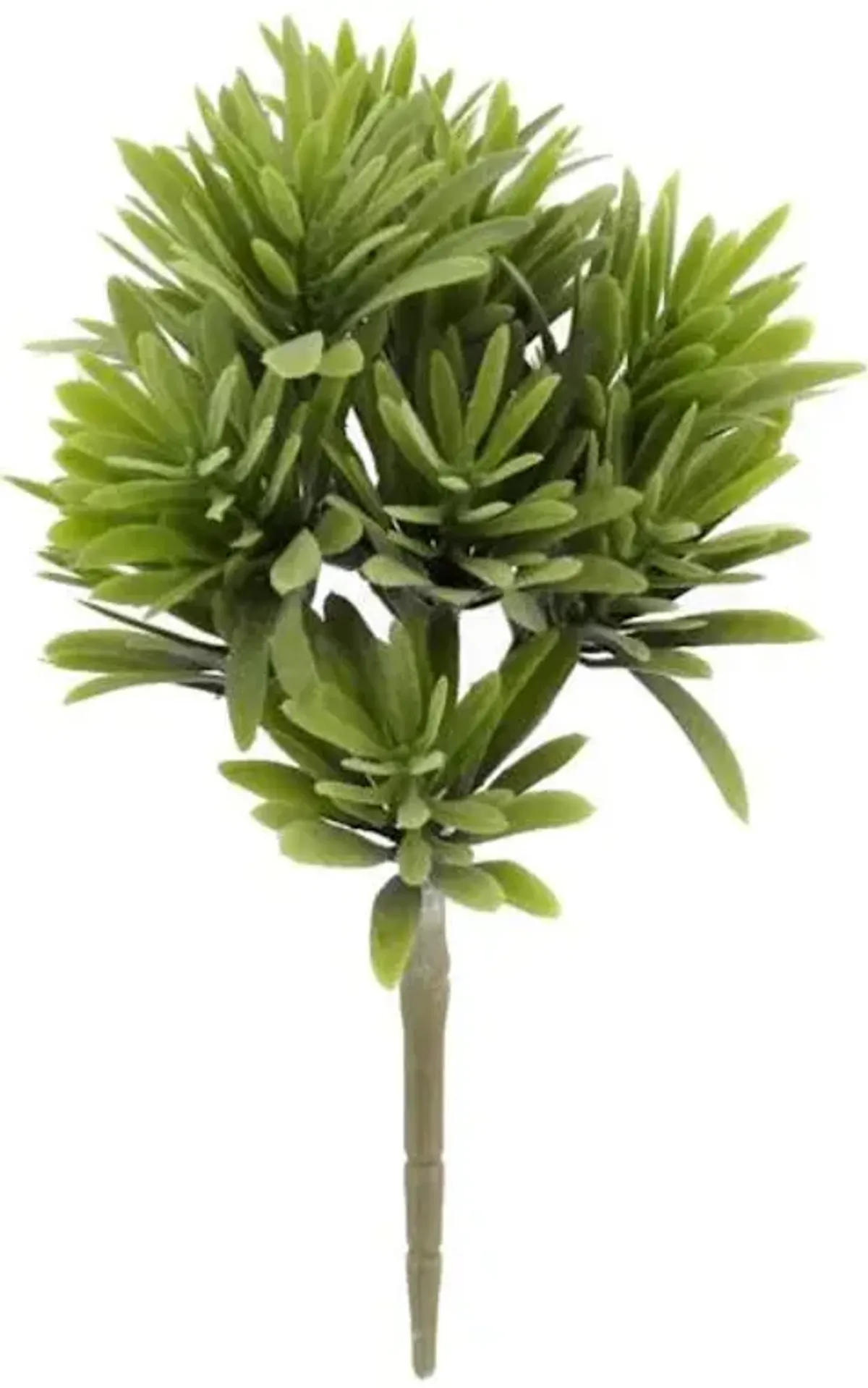 Green Jade Plant Stem, 9.5"