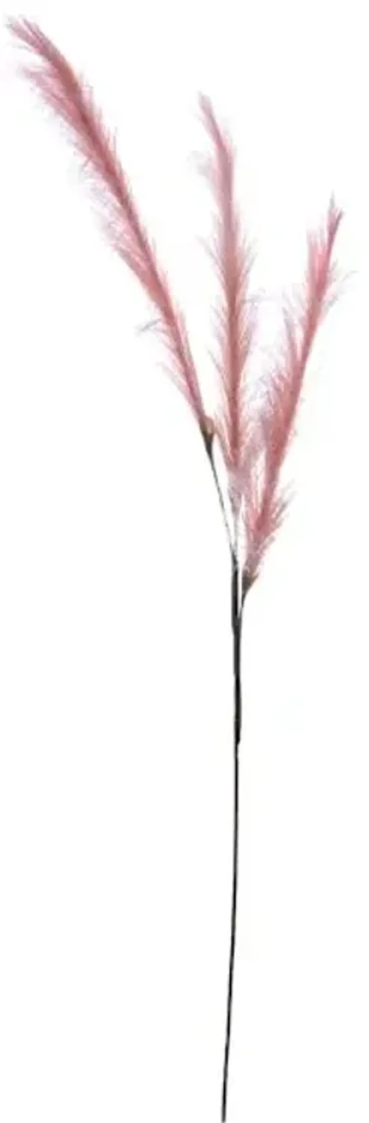 Light Pink Pampas Grass Spray, 48"