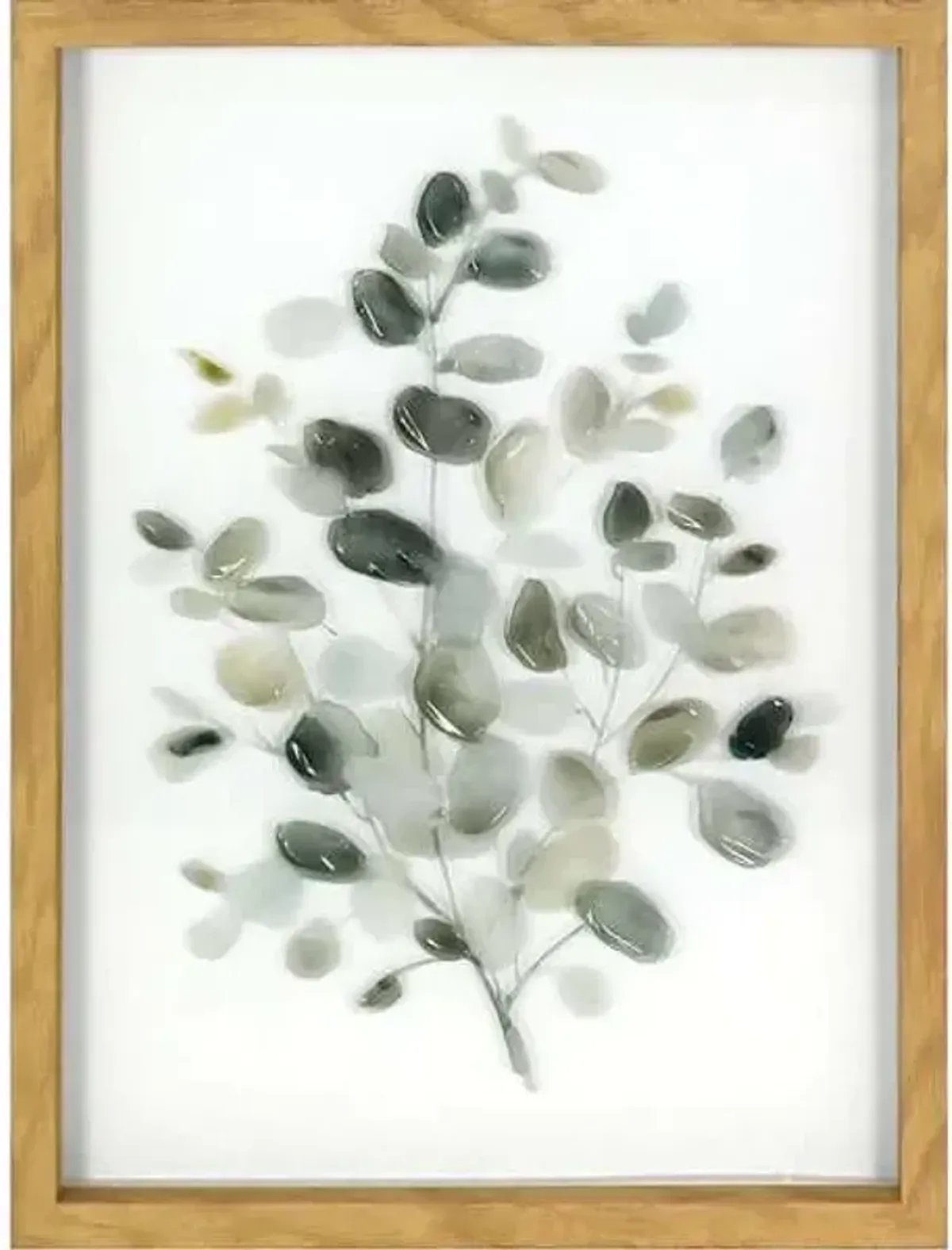 Honeybloom Glass Framed Green Eucalyptus Print Wall Art, 12x16