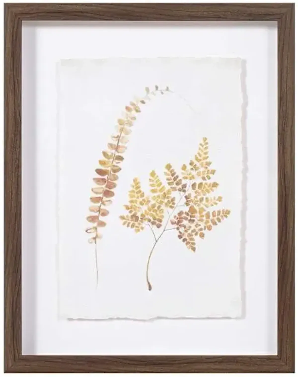 Honeybloom Glass Framed Leaf Print Wall Art, 11x14