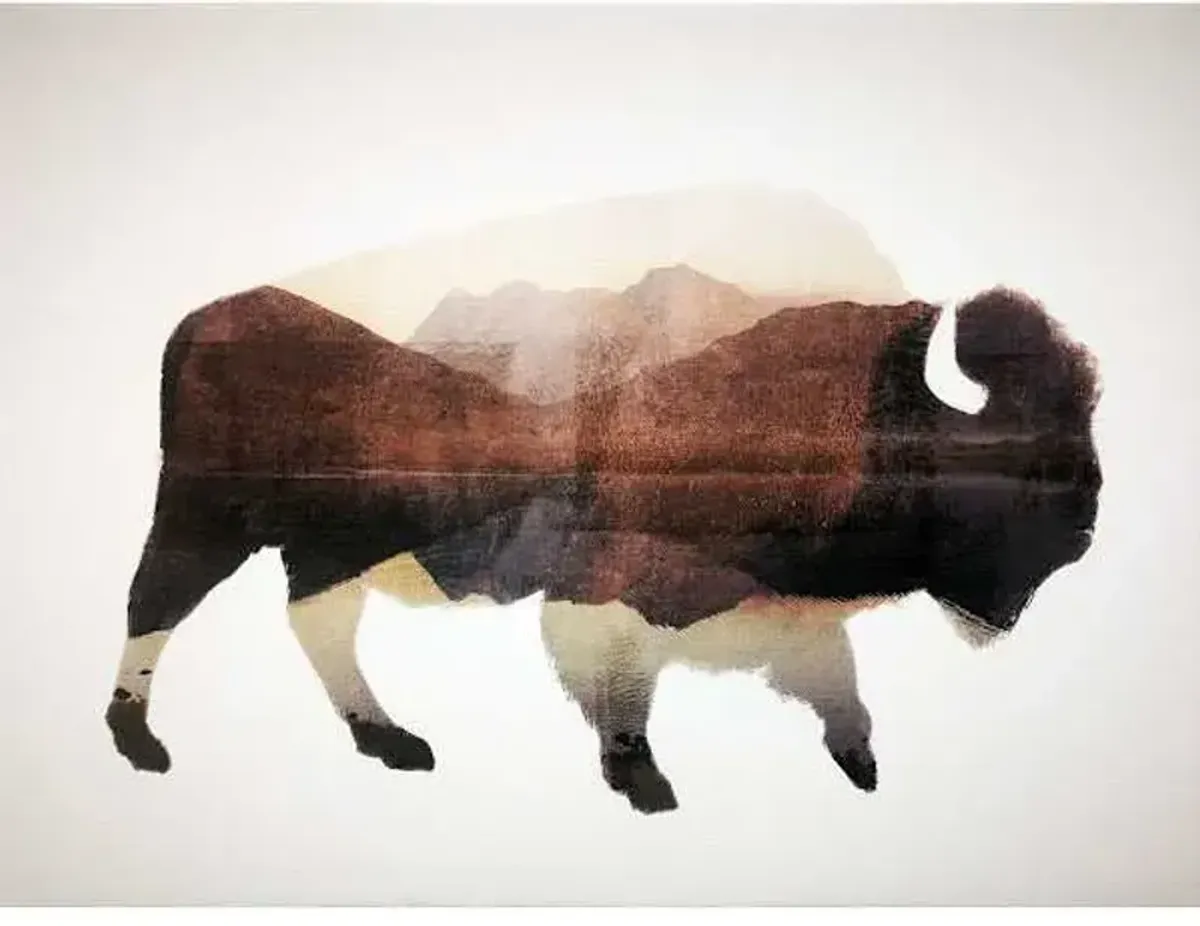 Buffalo Canvas Wall Art, 16x12