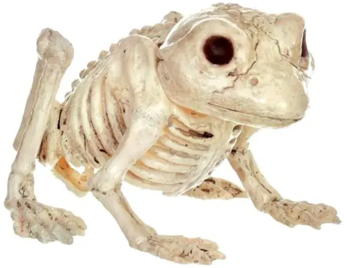 Small Halloween Frog Skeleton, 5"