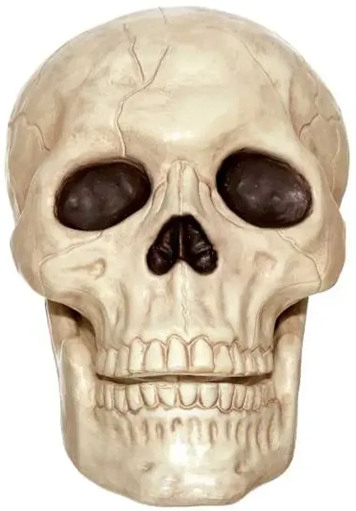 Large Halloween Skull, 10"
