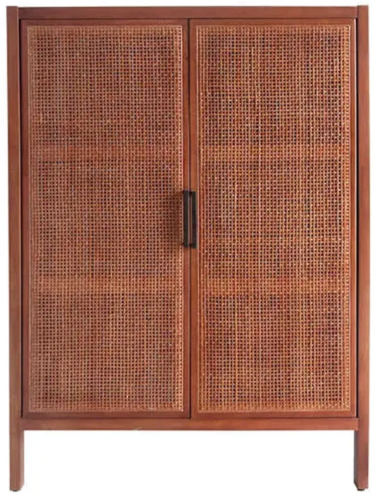 Wooden & Rattan Door Cabinet