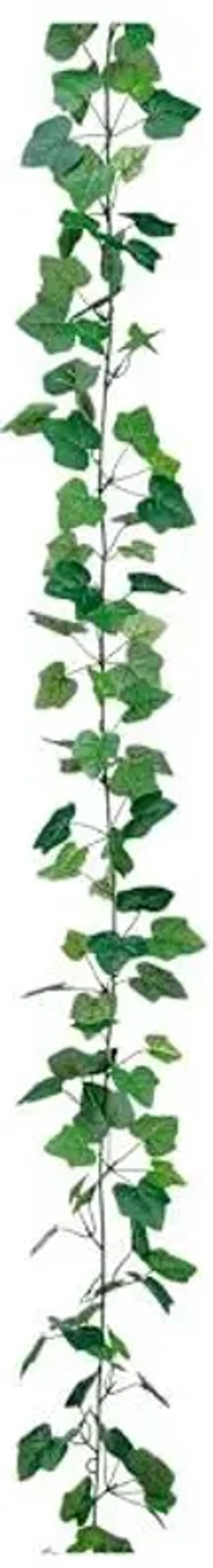 Green English Ivy Garland, 6'