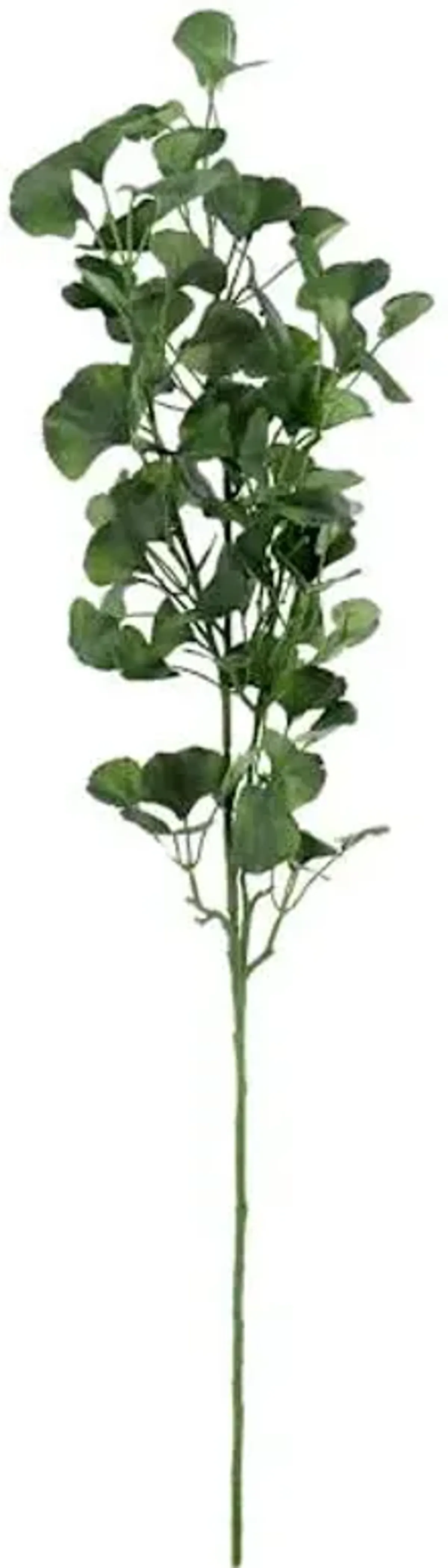 Gingko Leaf Spray, 34"