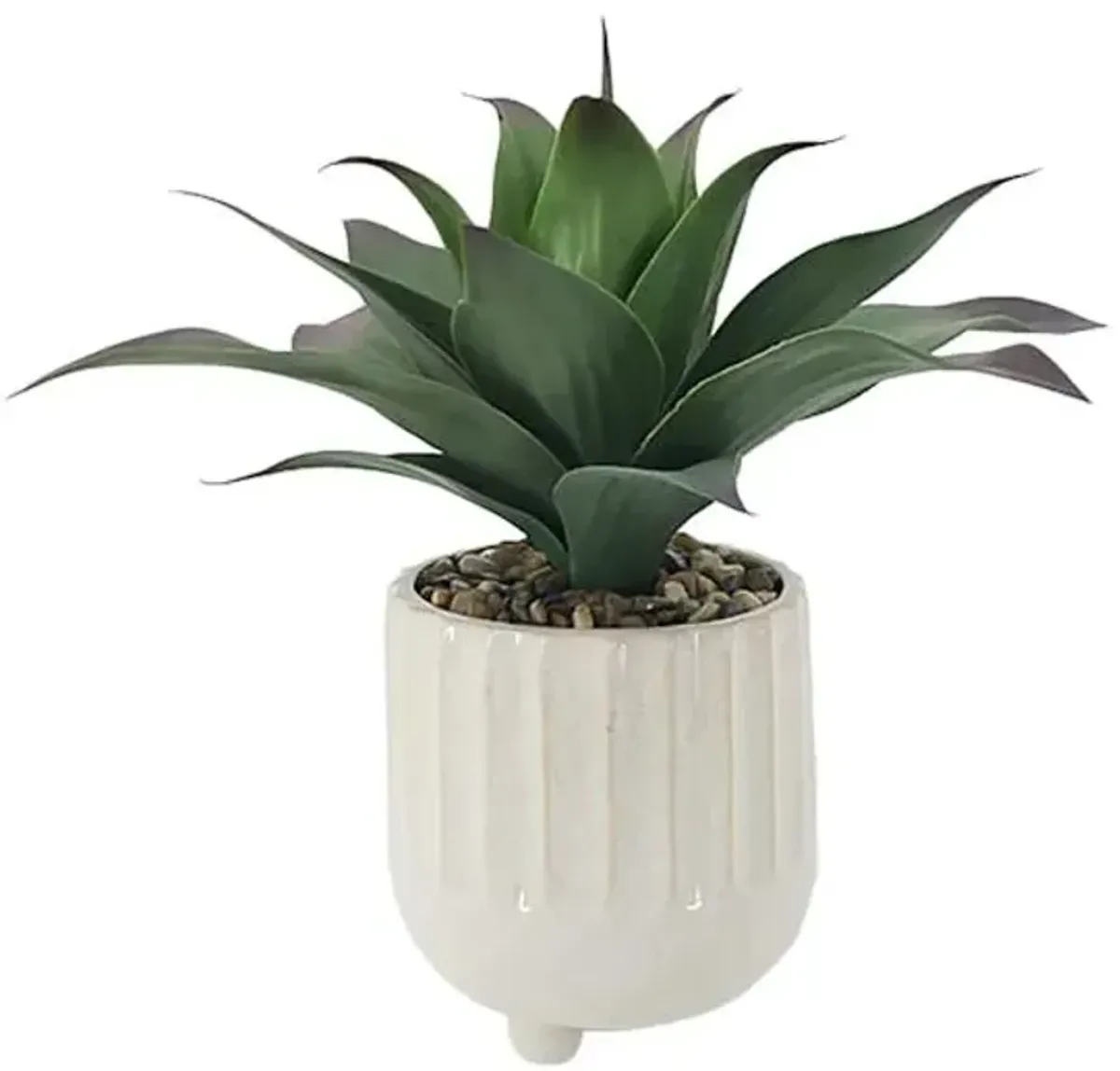 Succulent in Footed Ceramic Pot, 17"