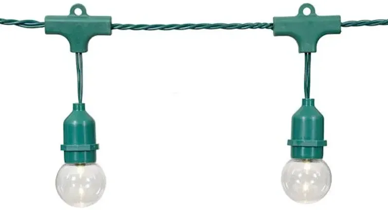 15-Count LED G40 Globe String Lights with Green Commercial Wire