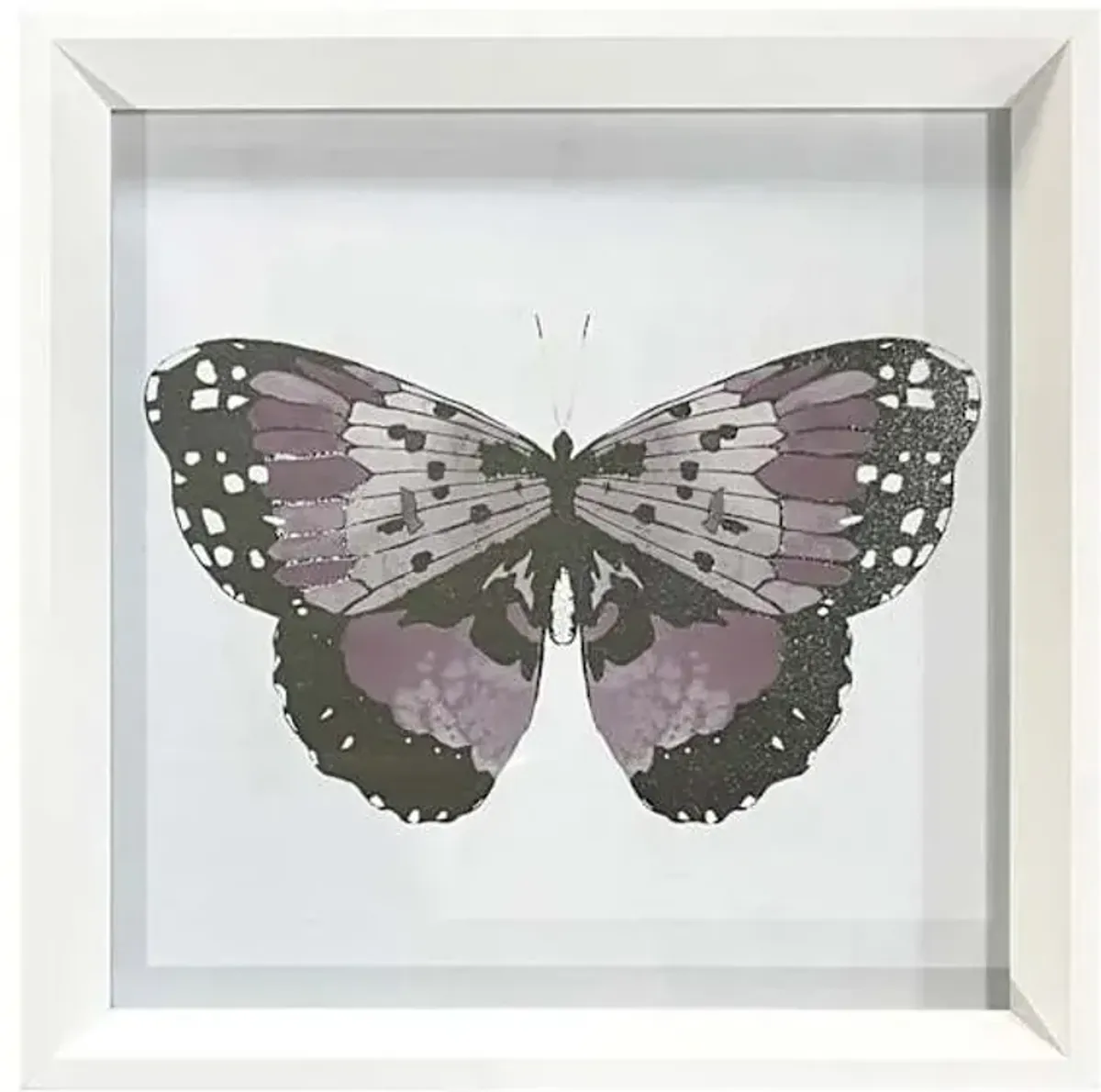 Glass Framed Butterfly Print Wall Art, 13"