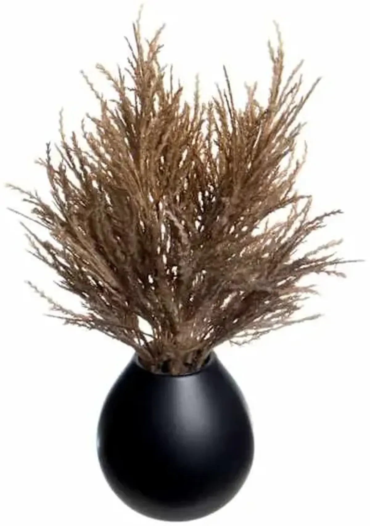 Crosby St. Brown Pampas Grass in Black Pot, 16"