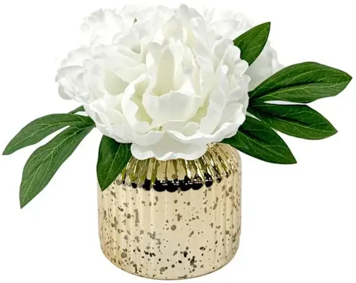 Providence White Peony in Glass Planter, 7"