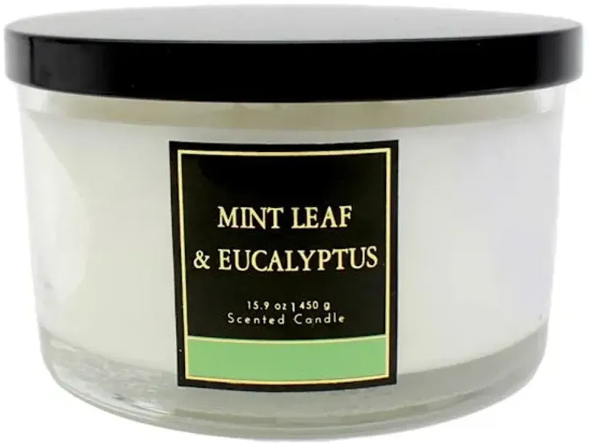 Mint Leaf & Eucalyptus Scented Jar Candle, 15.9oz