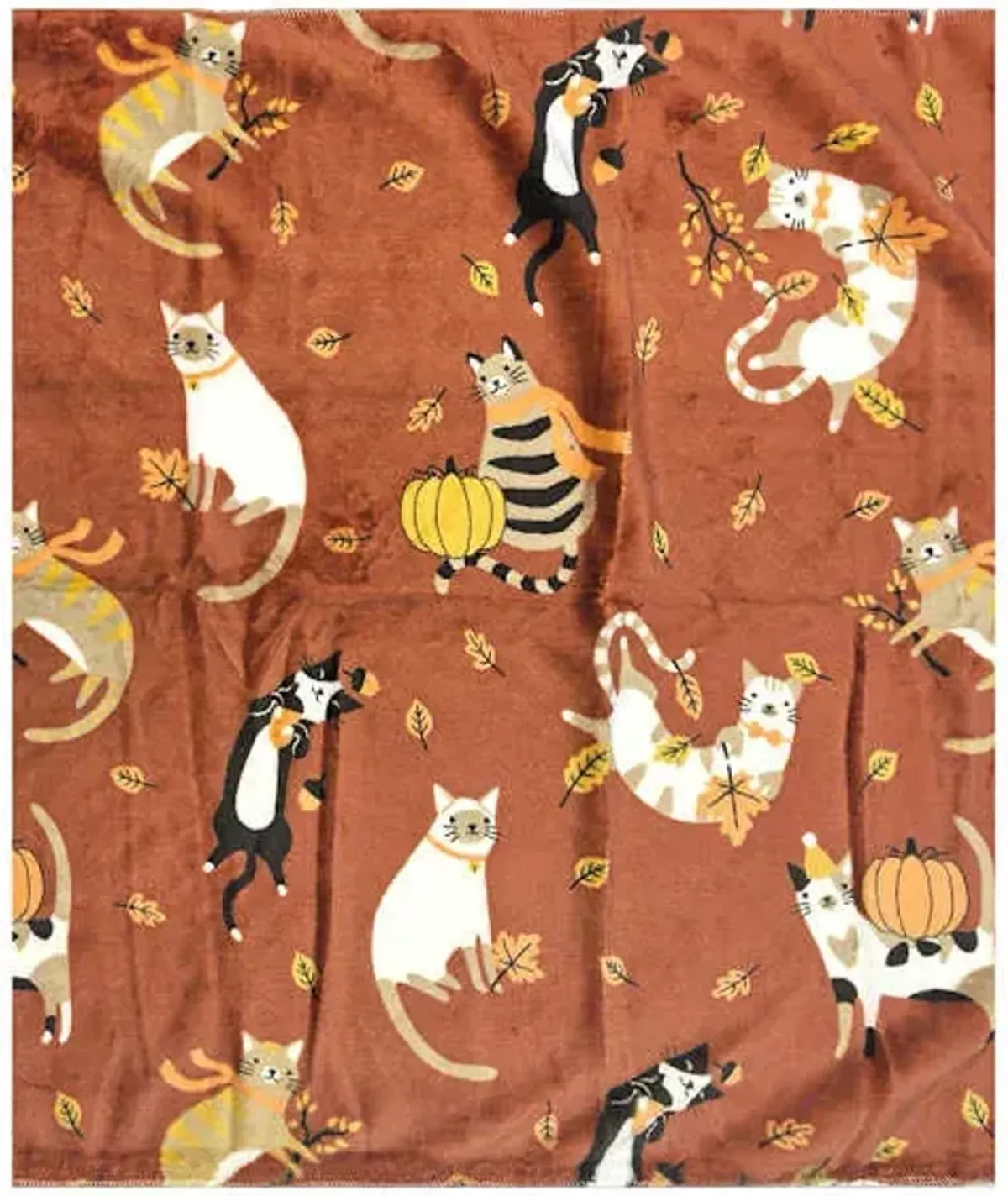 Fall Cats Plush Throw Blanket, 50x60