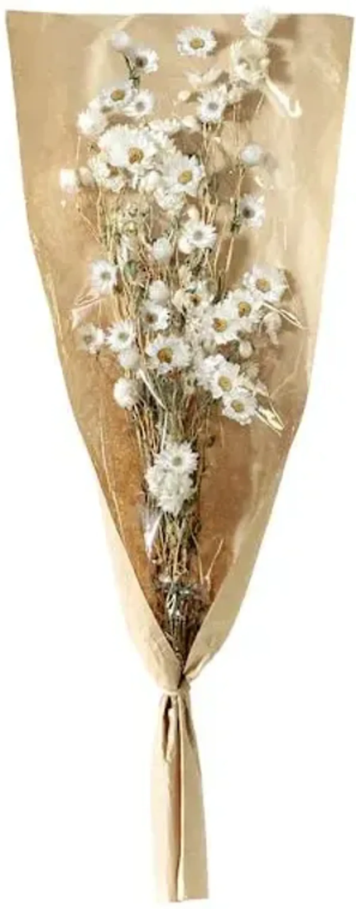 White Daisy Bundle, 19.5"