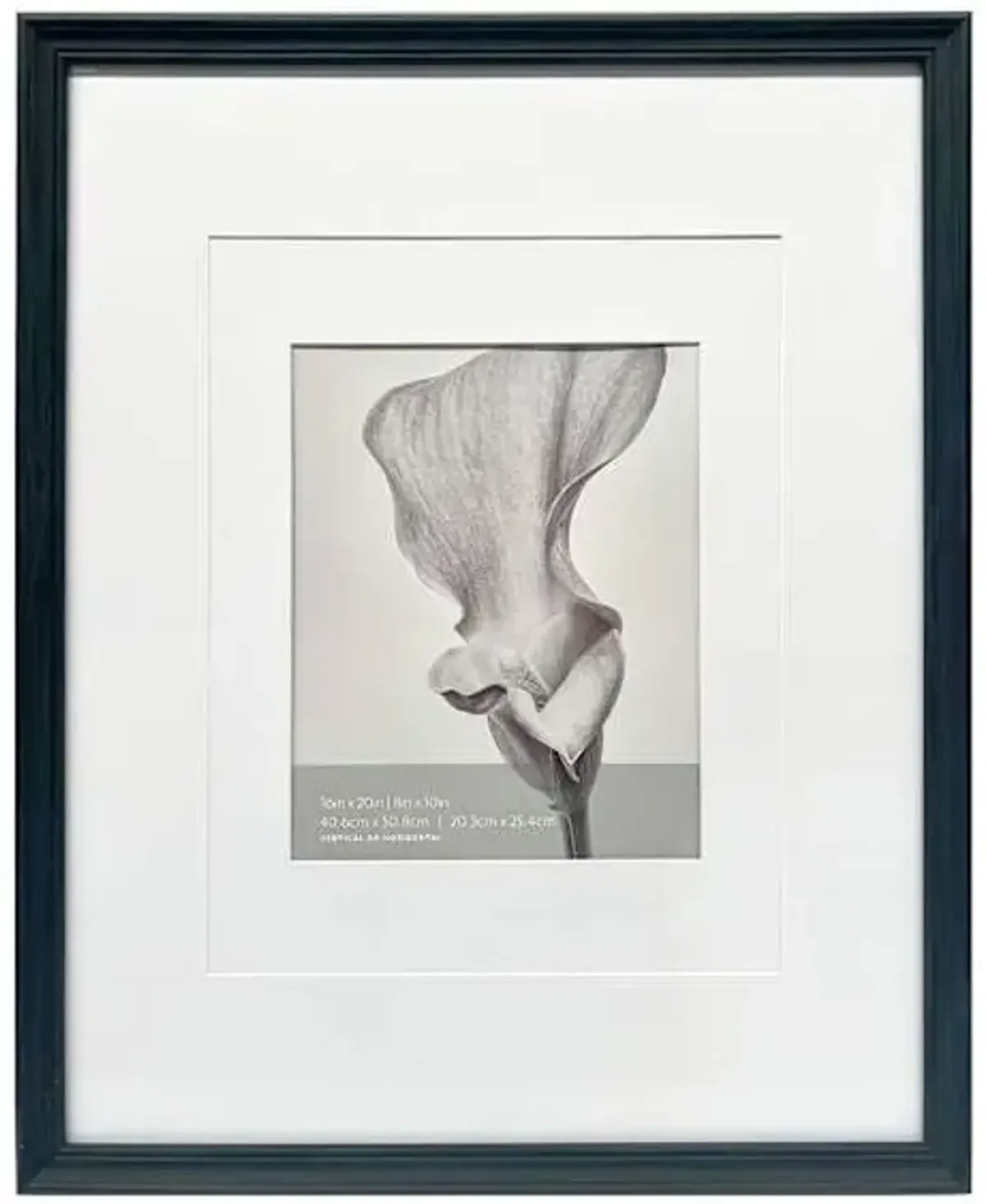 16x20 Black Ornate Matted to 8x10 Wall Frame