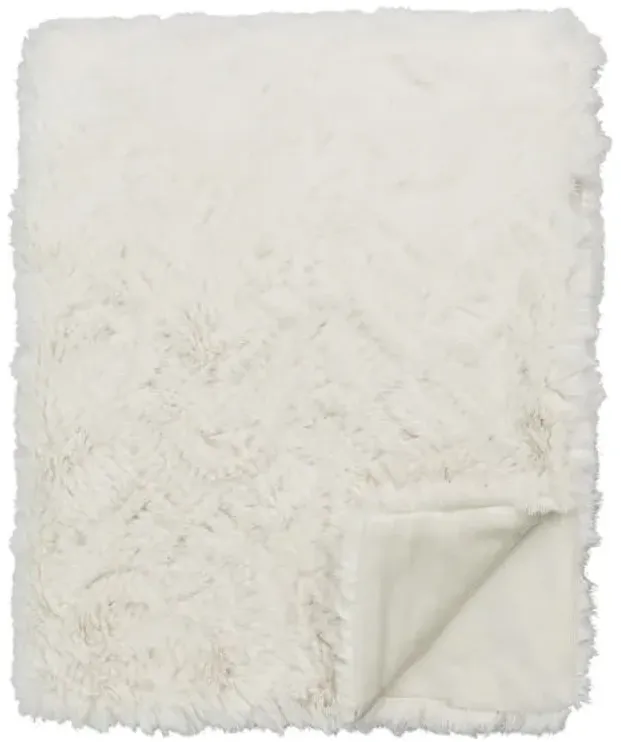 Neutral Faux Fur Plush Throw Blanket with Velboa Reverse, 50x60