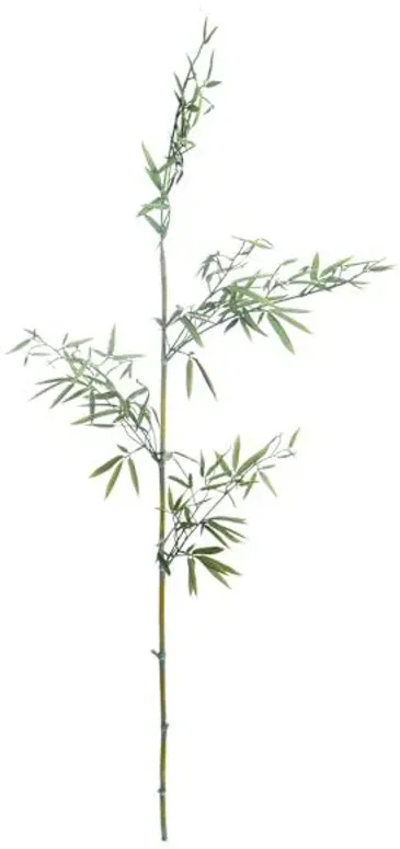 Found & Fable Bamboo Branch, 46"