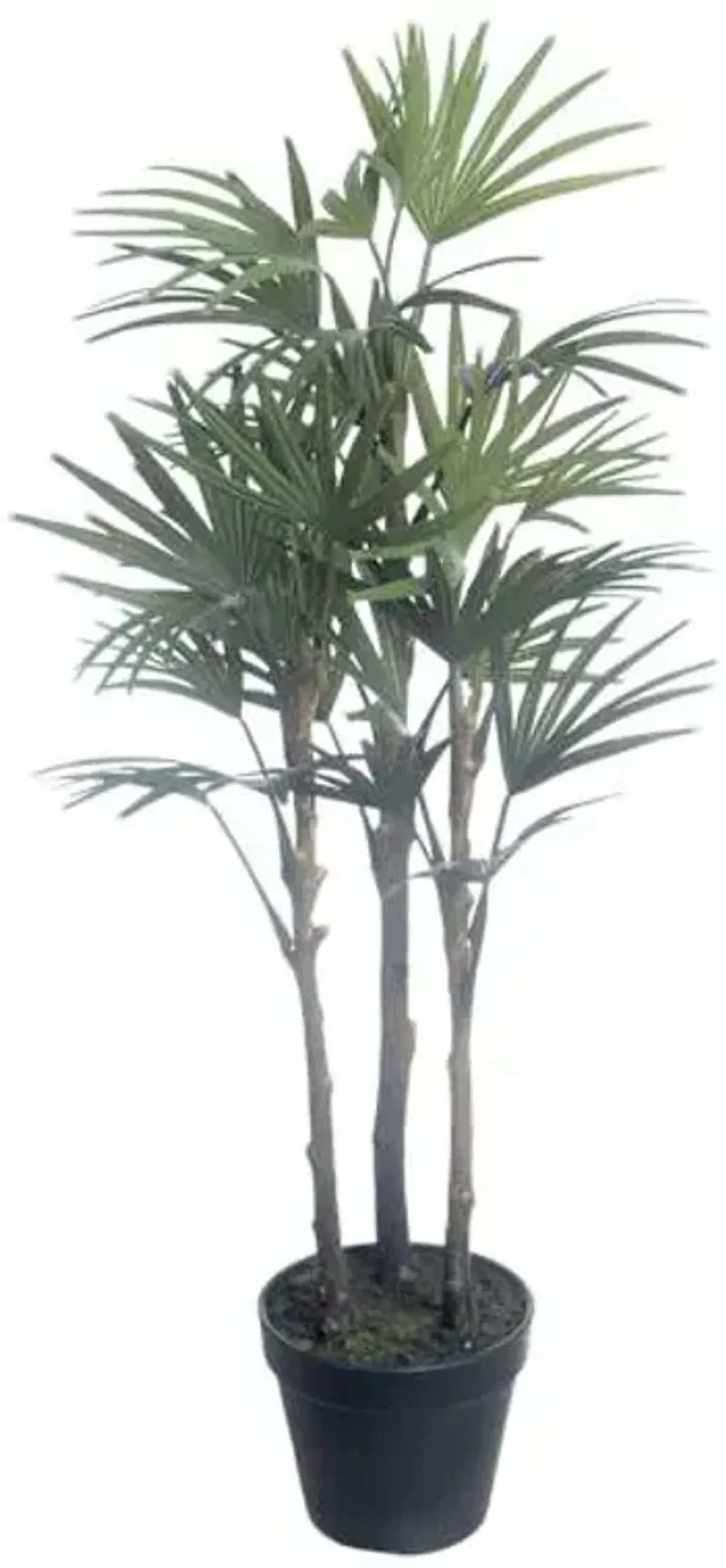 Outdoor Rated Potted Fan Palm, 25"