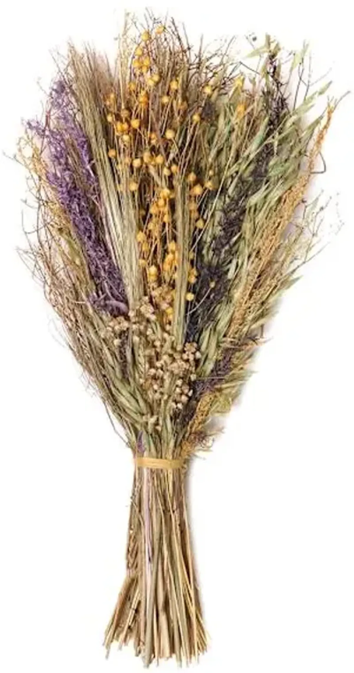Honeybloom Dried Botanical Bunch, 16"