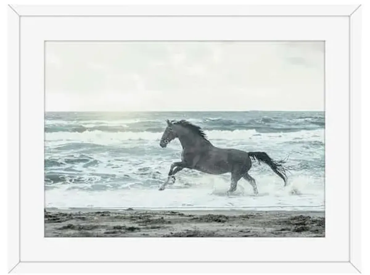 Glass Framed Horse On Beach Print Wall Art, 18x24