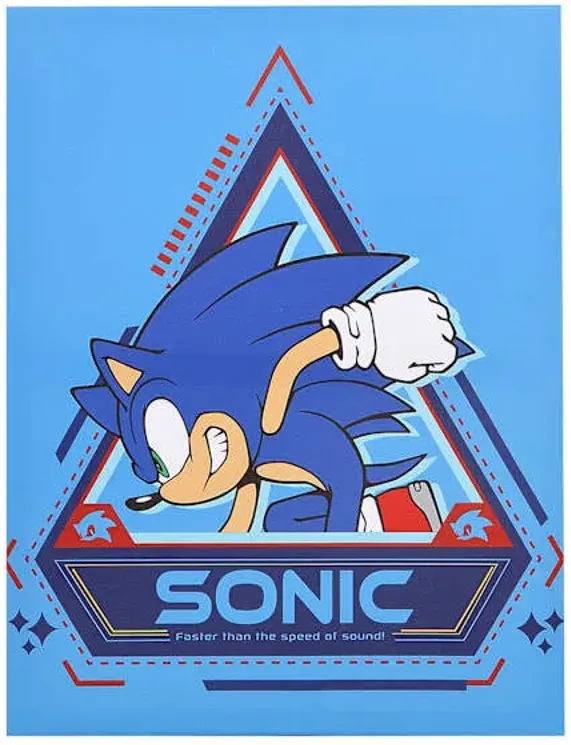 Sonic Canvas Wall Art, 11x14