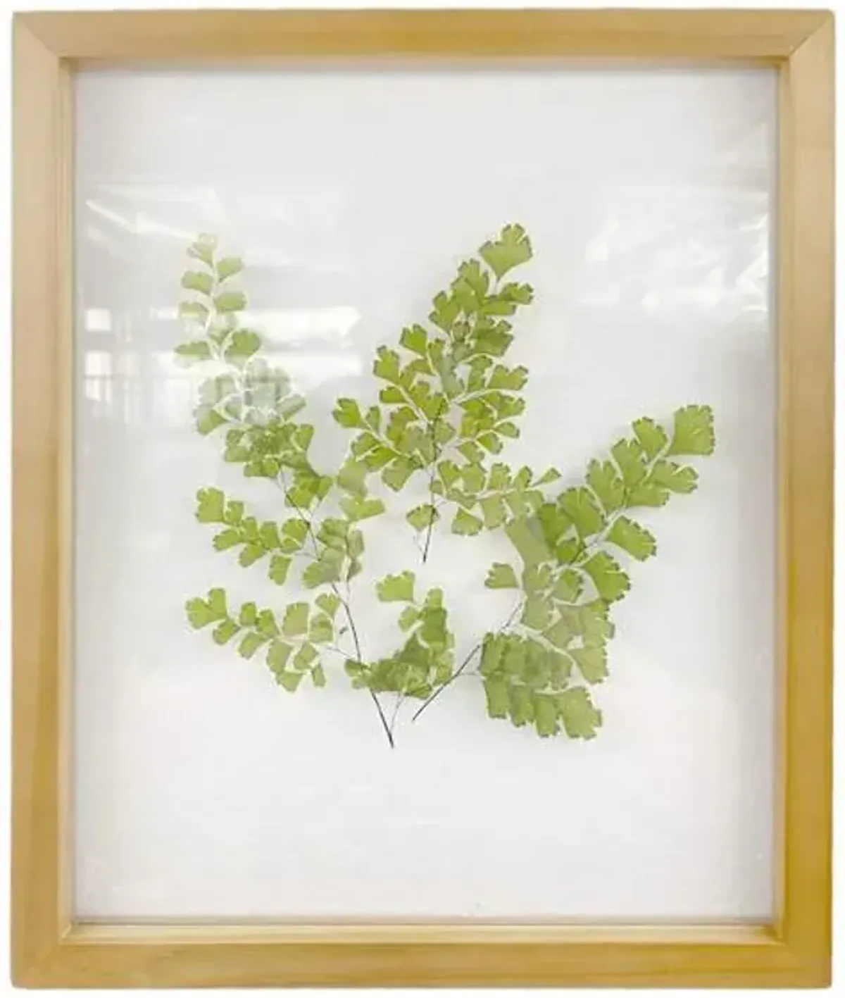 Honeybloom Glass Framed Botanical Wall Art, 10x12