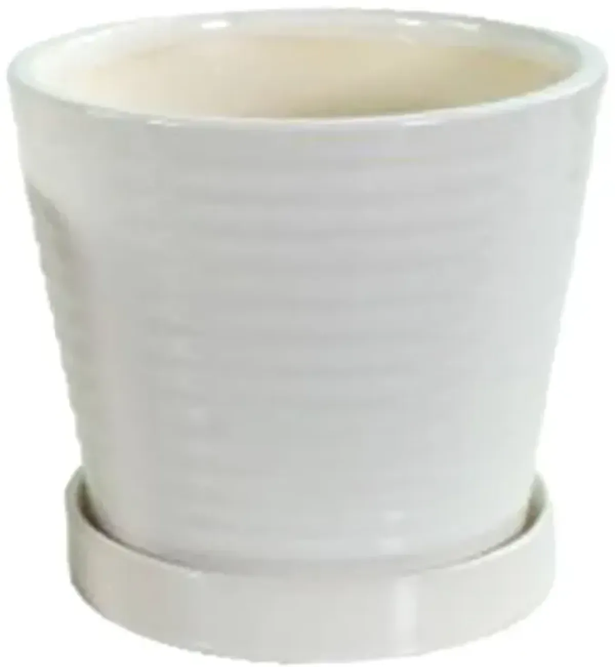 Indoor White Ceramic Ring Pot, Medium