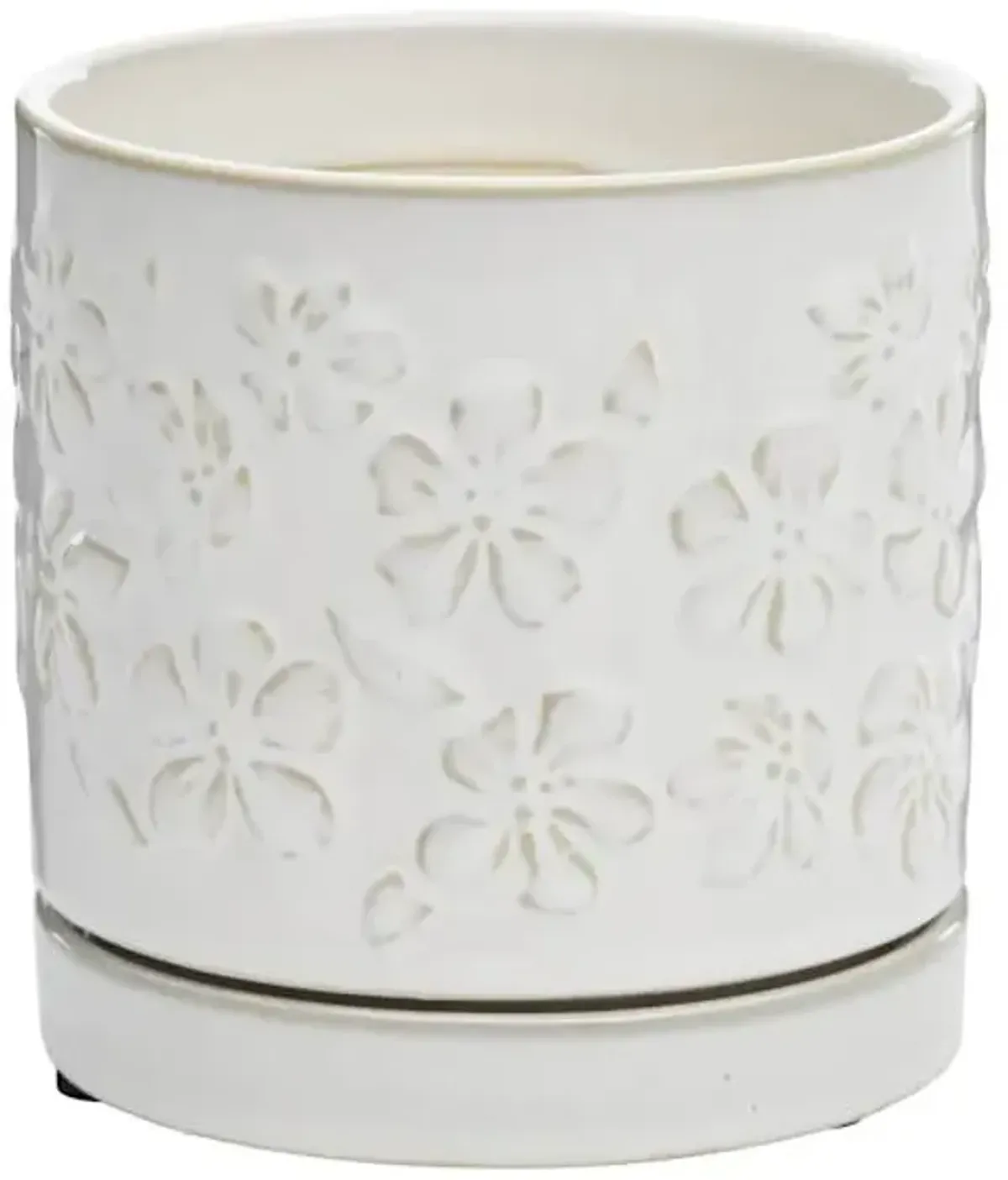 Indoor Dahlia White Pot, Small