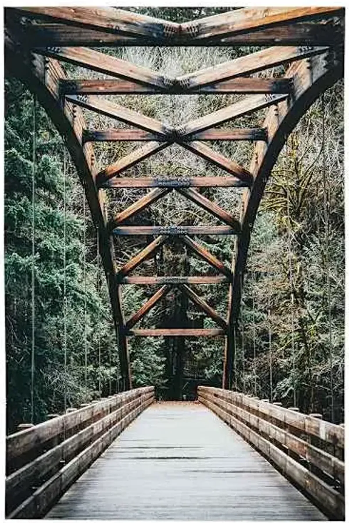 Forest Bridge Canvas Wall Art, 36x24