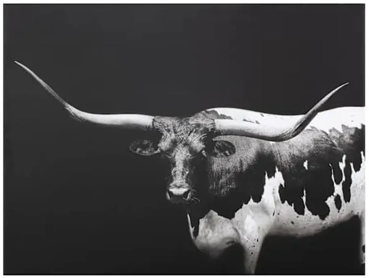 Long Horn Canvas Wall Art, 40x30