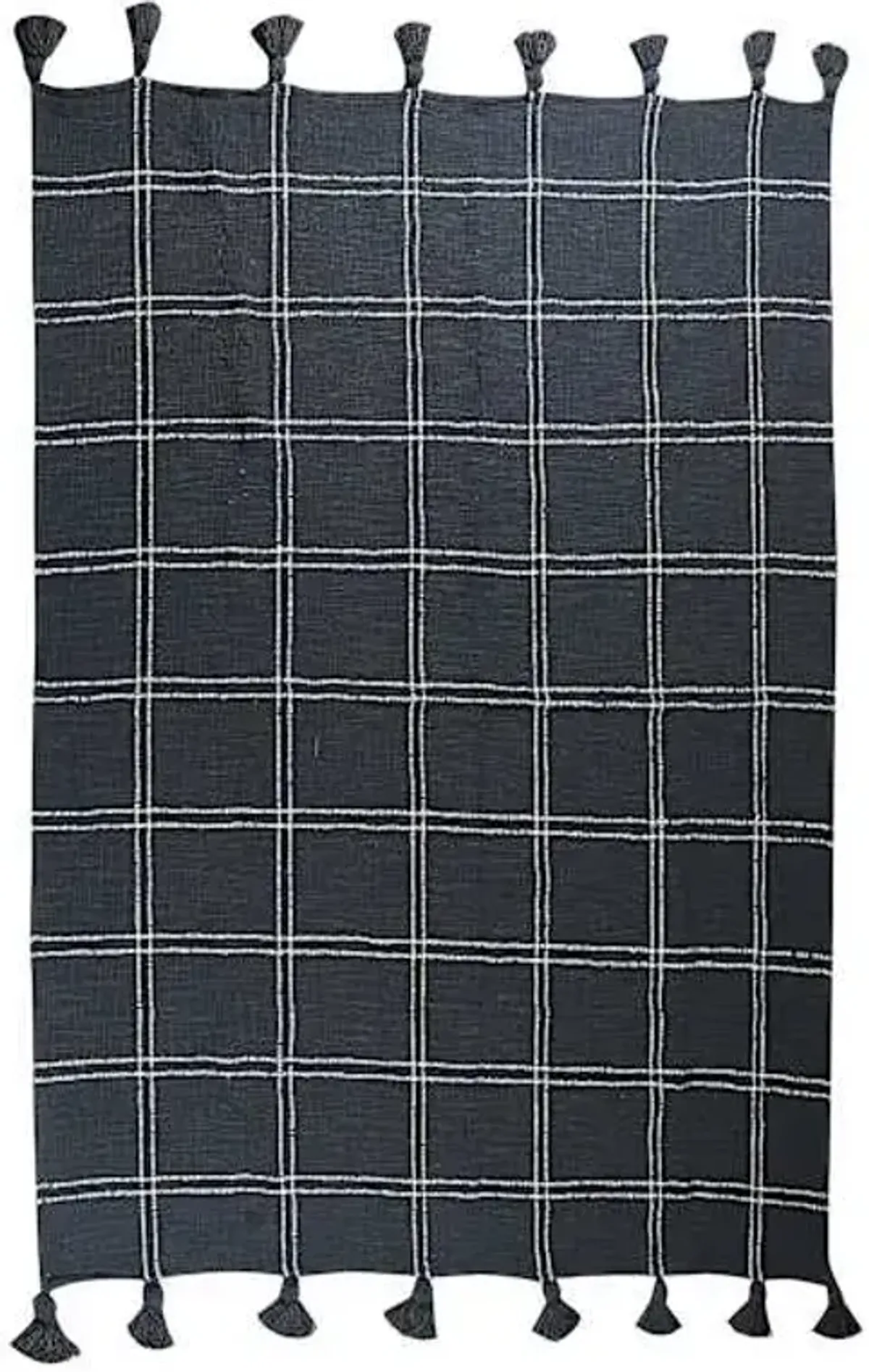 Windowpane Yarn Dyed Woven Throw Blanket with Tassels, 50x60
