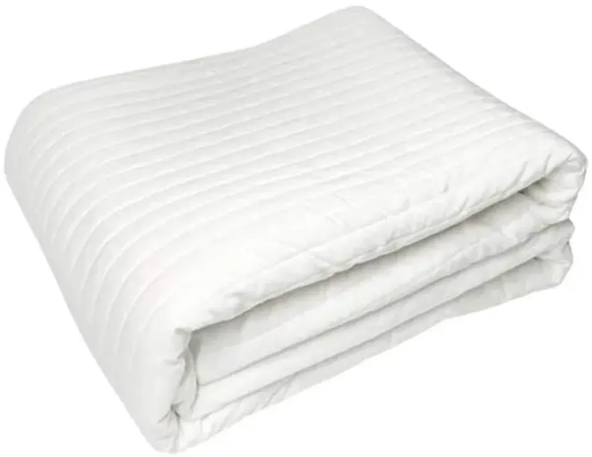 3-Piece Ivory Velvet Quilt Set, King