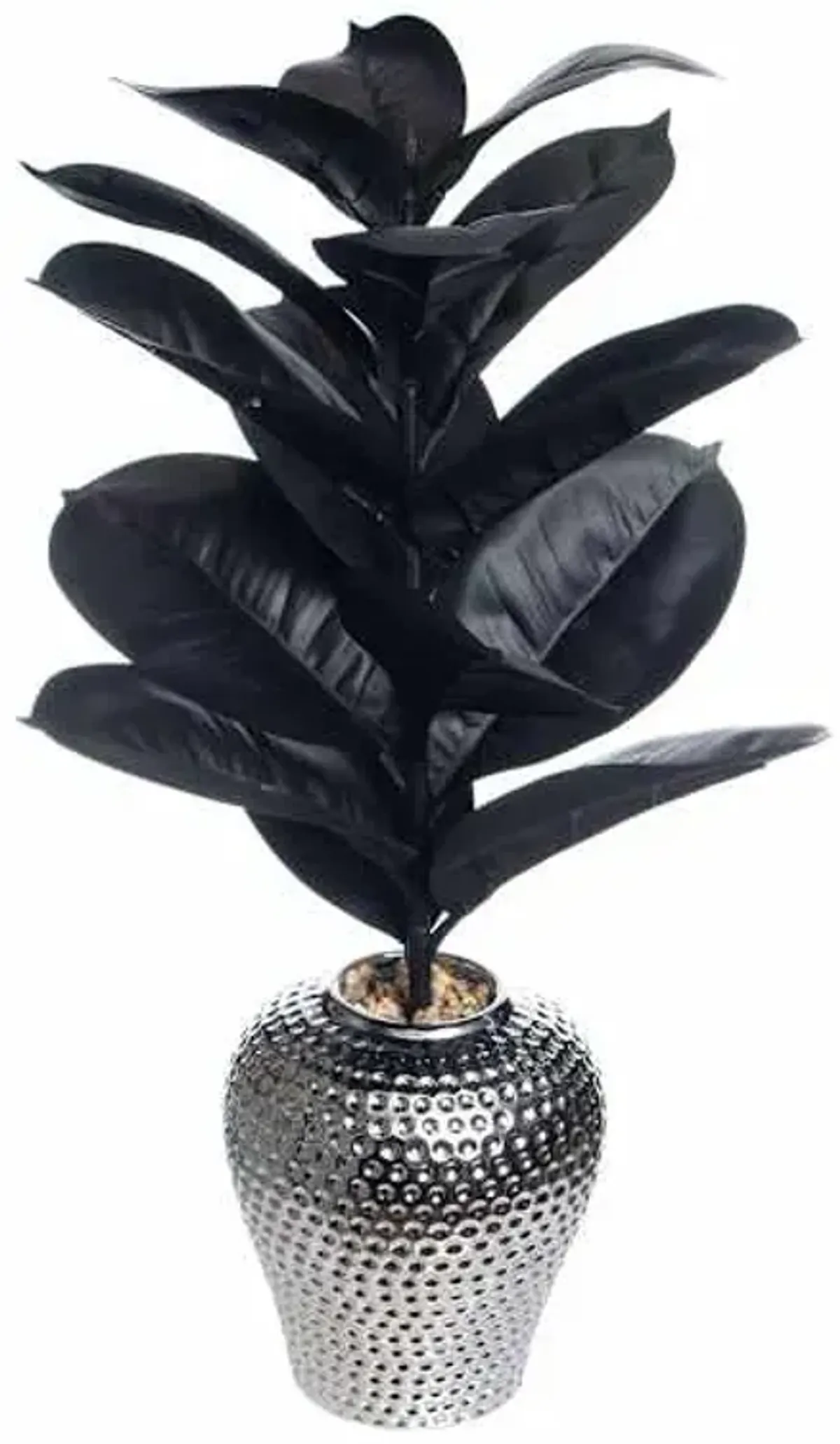 Rubber Plant in Metallic Pot, 23"