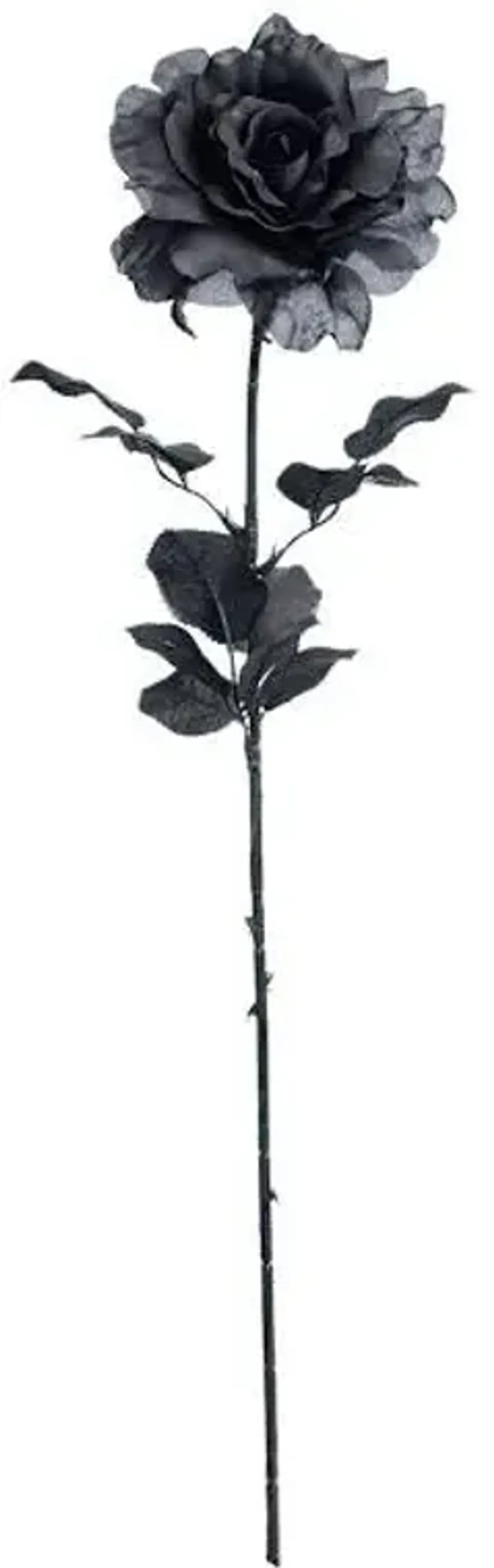 Black Rose Floral Stem, 28"