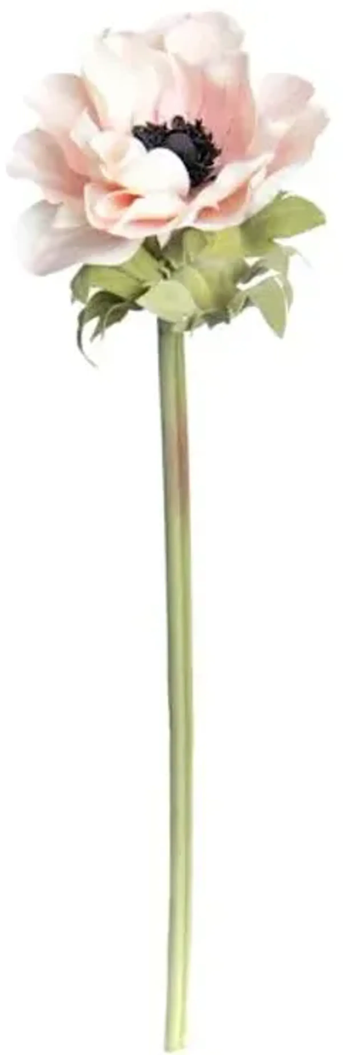 Light Pink Anemone Stem, 17"