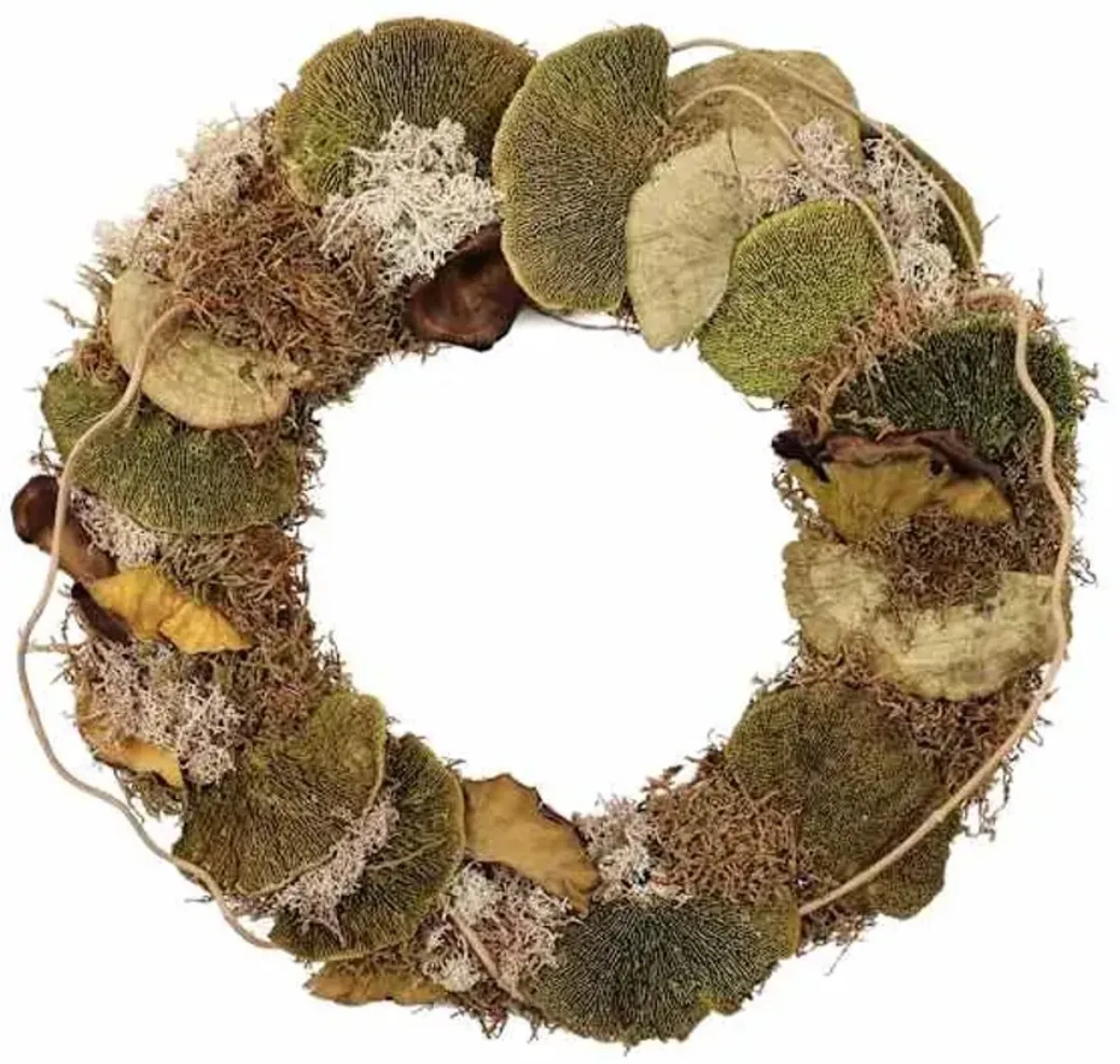 Honeybloom Dried Mushroom Wreath, 18"