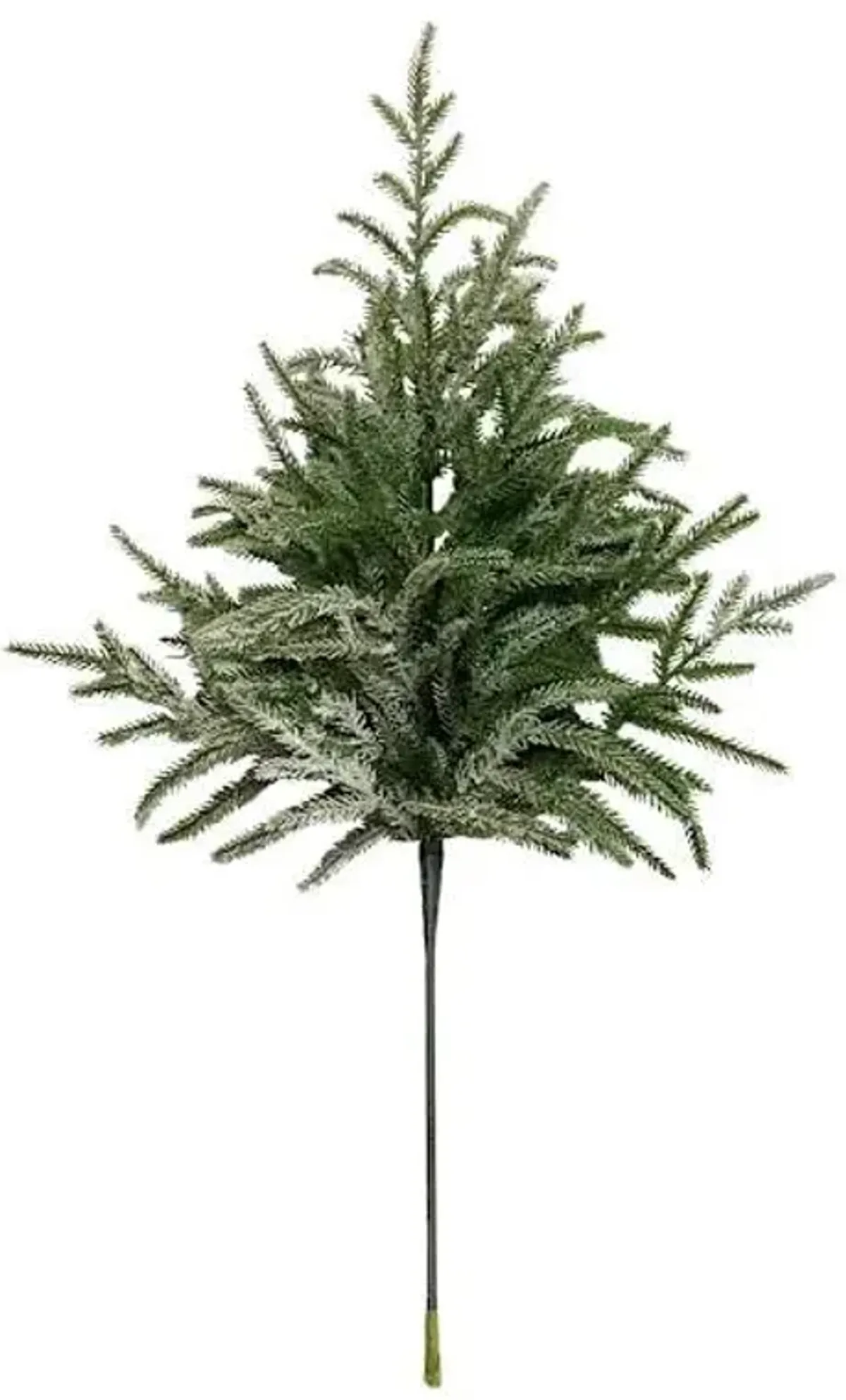 Flocked Norfolk Pine Stem, 24"