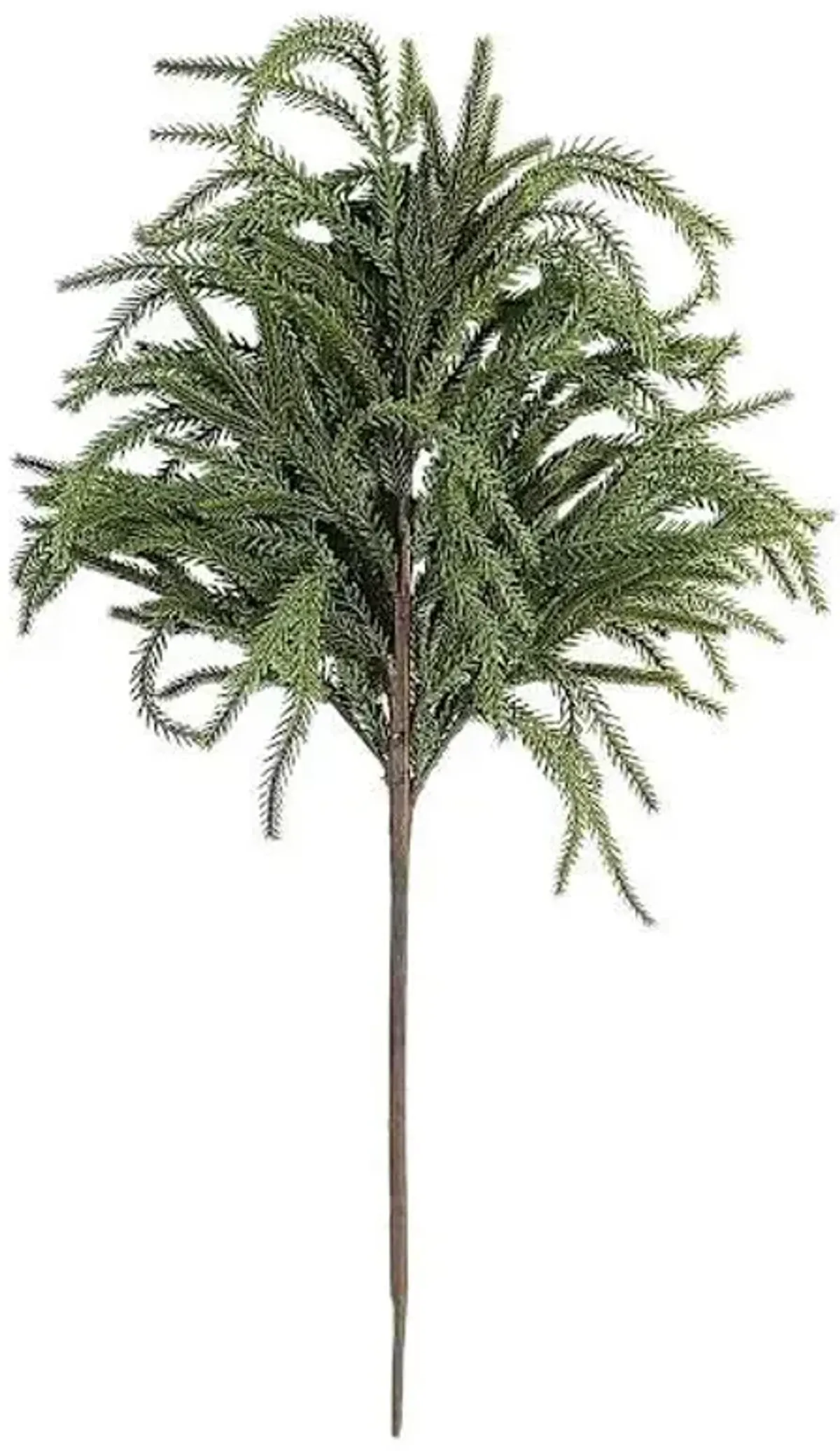 Flocked Norfolk Pine Stem, 24"