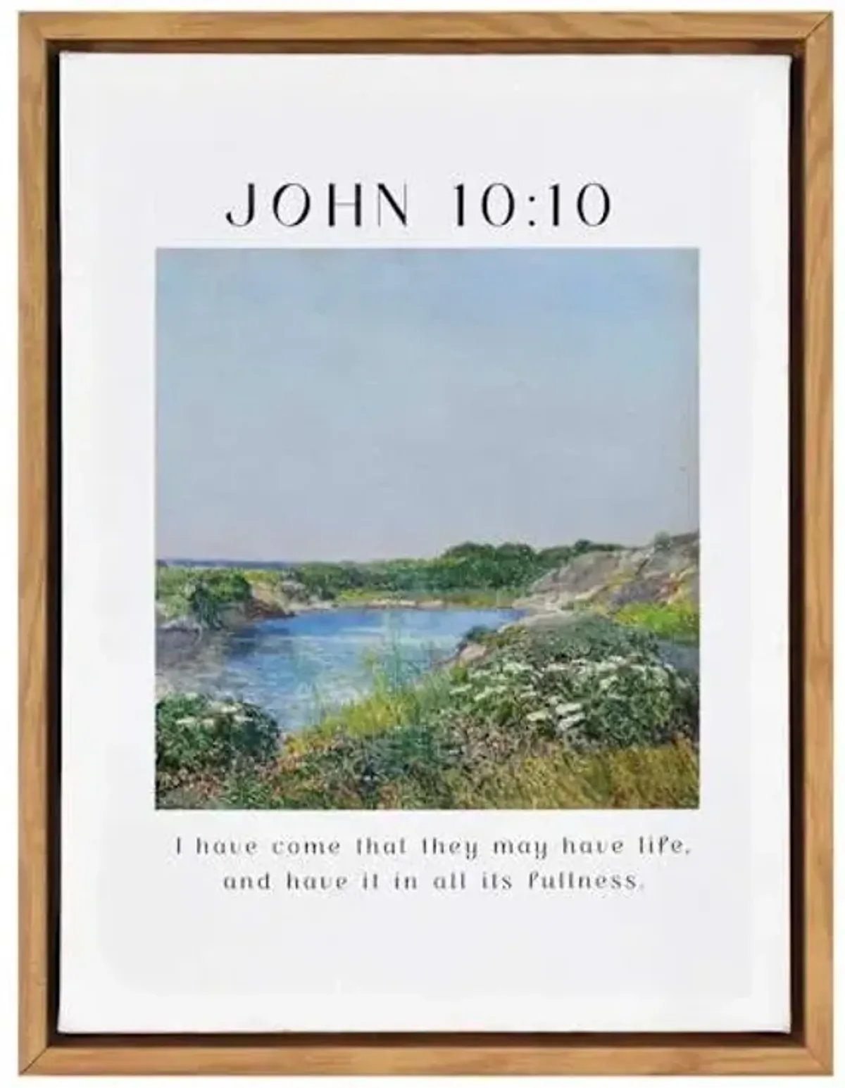 John 10:10 Framed Canvas Wall Art, 13x15