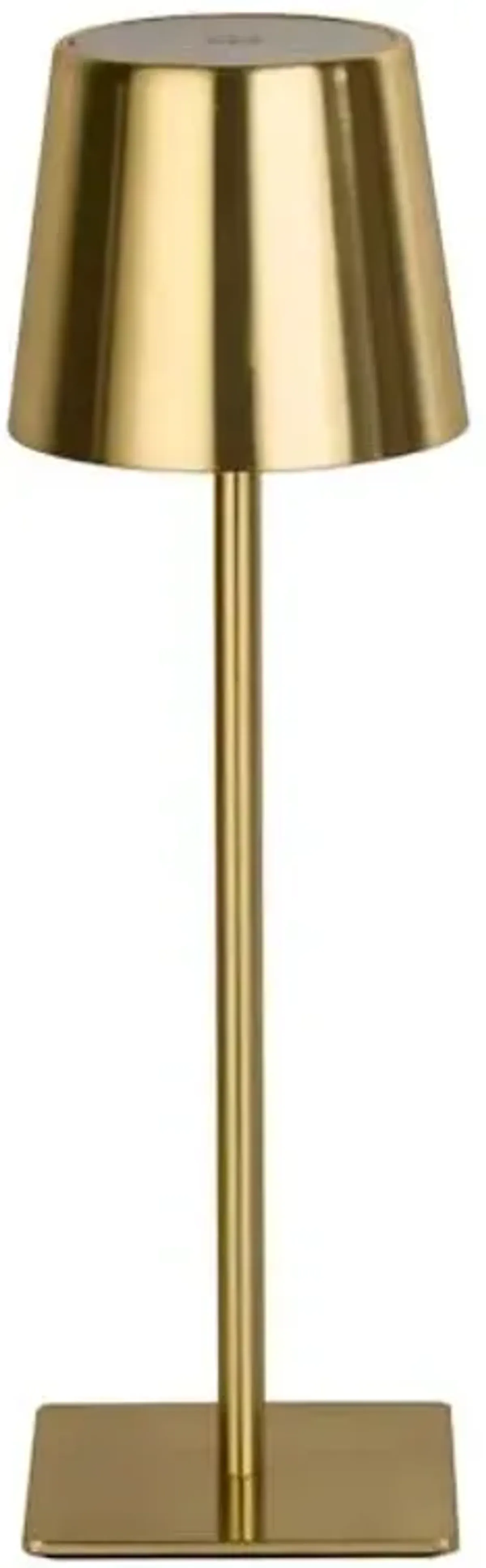 Gold Indoor & Outdoor USB Portable Rechargeable Lamp