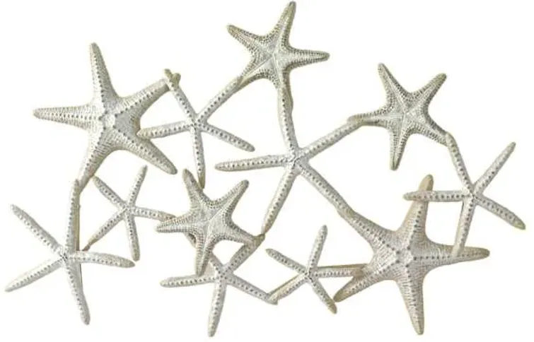 Geo Starfish, 29x35