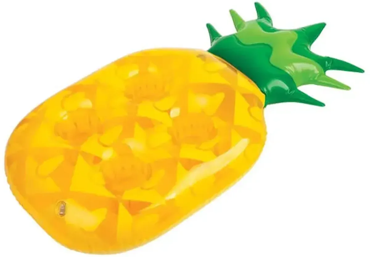 Summer Fun Pineapple Cupholder